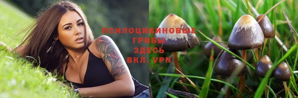 скорость Алексеевка