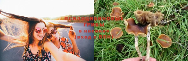 скорость Алексеевка