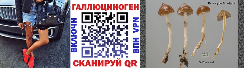 купить закладку  Разумное  Псилоцибиновые грибы мухоморы 
